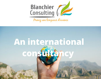 International Consultancy